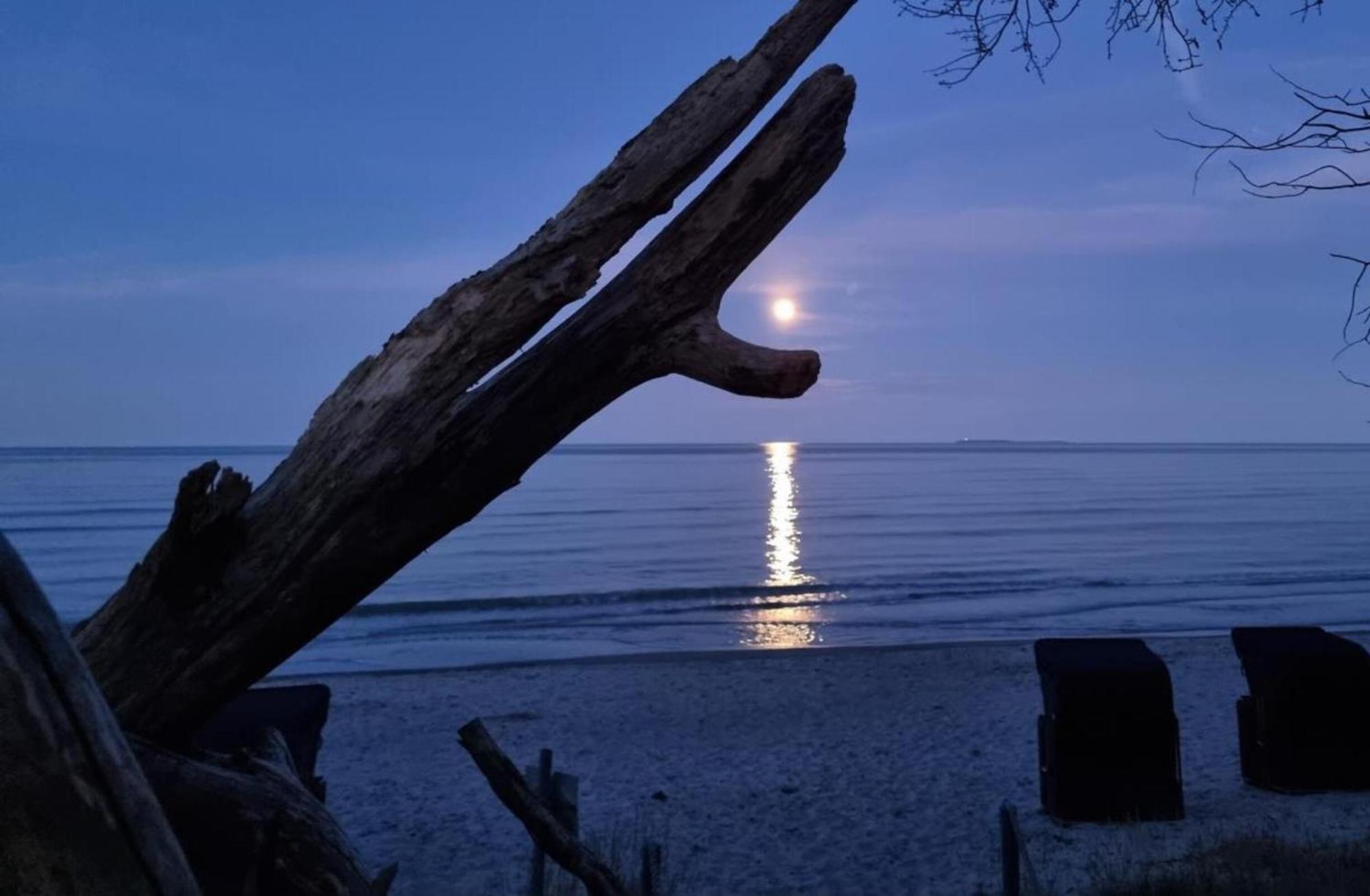 Traumhaftes Appartement - Odins Blick Wohnung 13 , Sauna Und Privatstrand, Blick Zur Ostsee 洛布 外观 照片